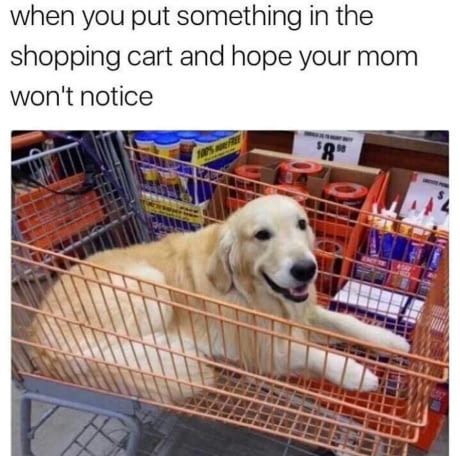 Buying a dog - meme