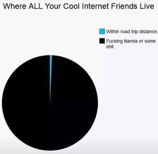 Where all your cool internet friends live - meme