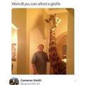Work till you can afford a giraffe