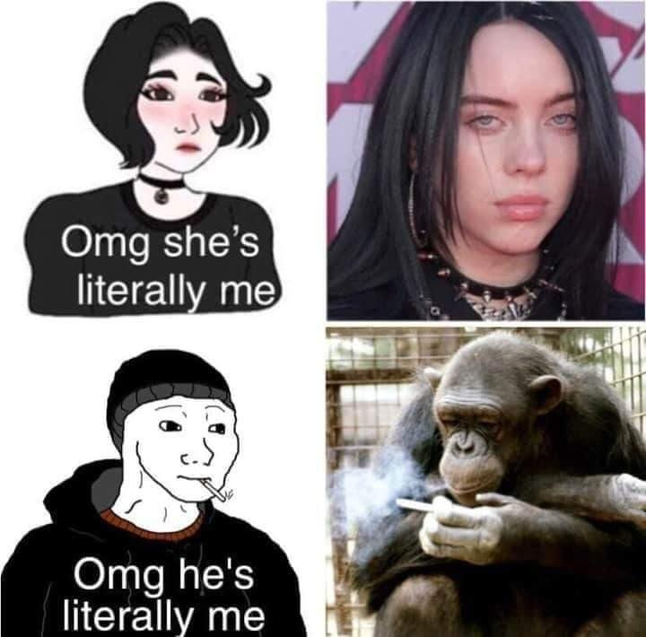 Monkey - meme