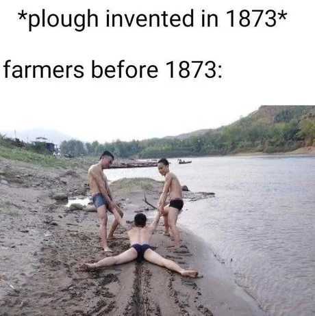 Dongs in a farmer - meme