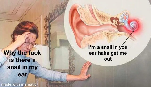 That snail is your conscience - meme