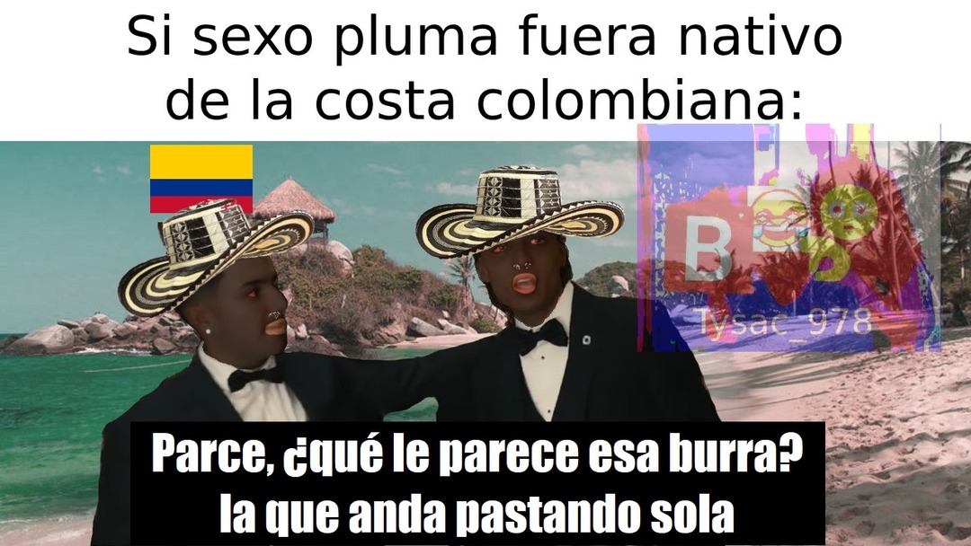 quemen colombia - meme