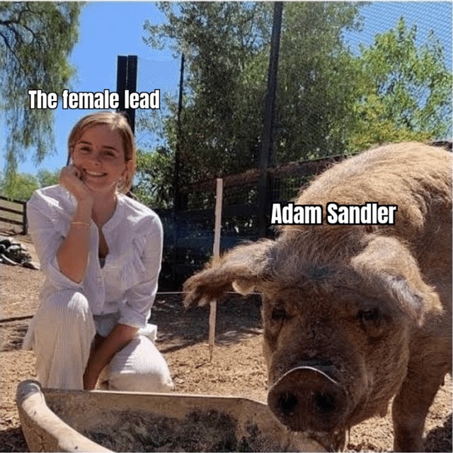Adam Sandler meme