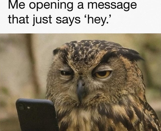 me opening a hey text like it’s a threat - meme