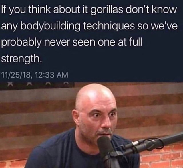 Gorillas don't know any bodybuilding techniques - meme