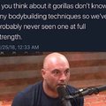Gorillas don't know any bodybuilding techniques