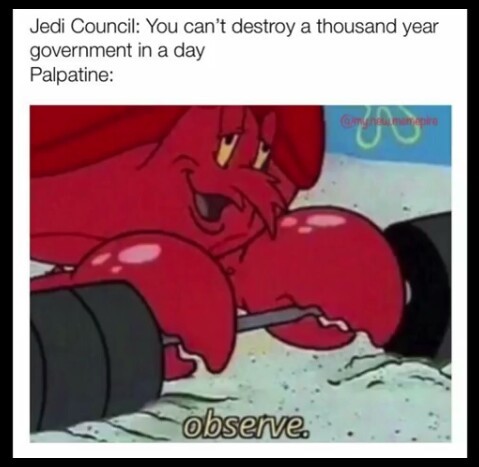 He is the Senate - meme
