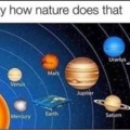 flat earth is real