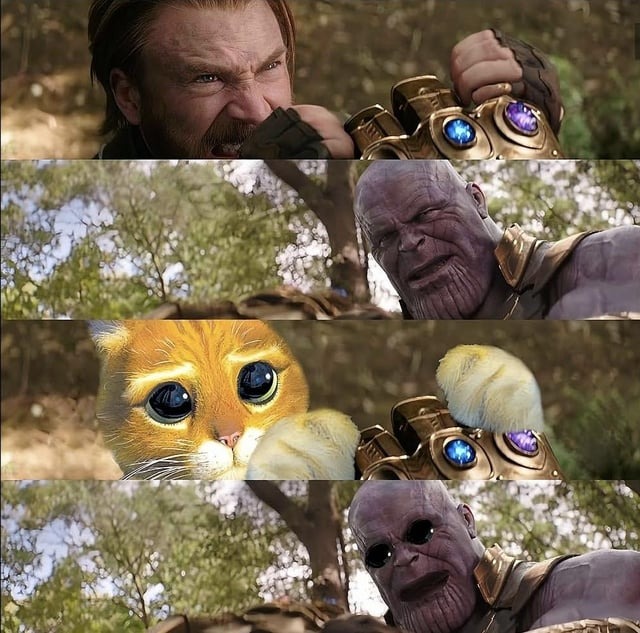 Infinity War ending would have been so much different - meme