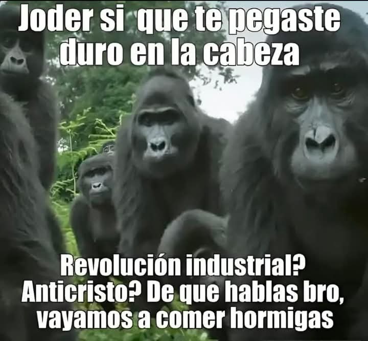 A trepar arboles - meme