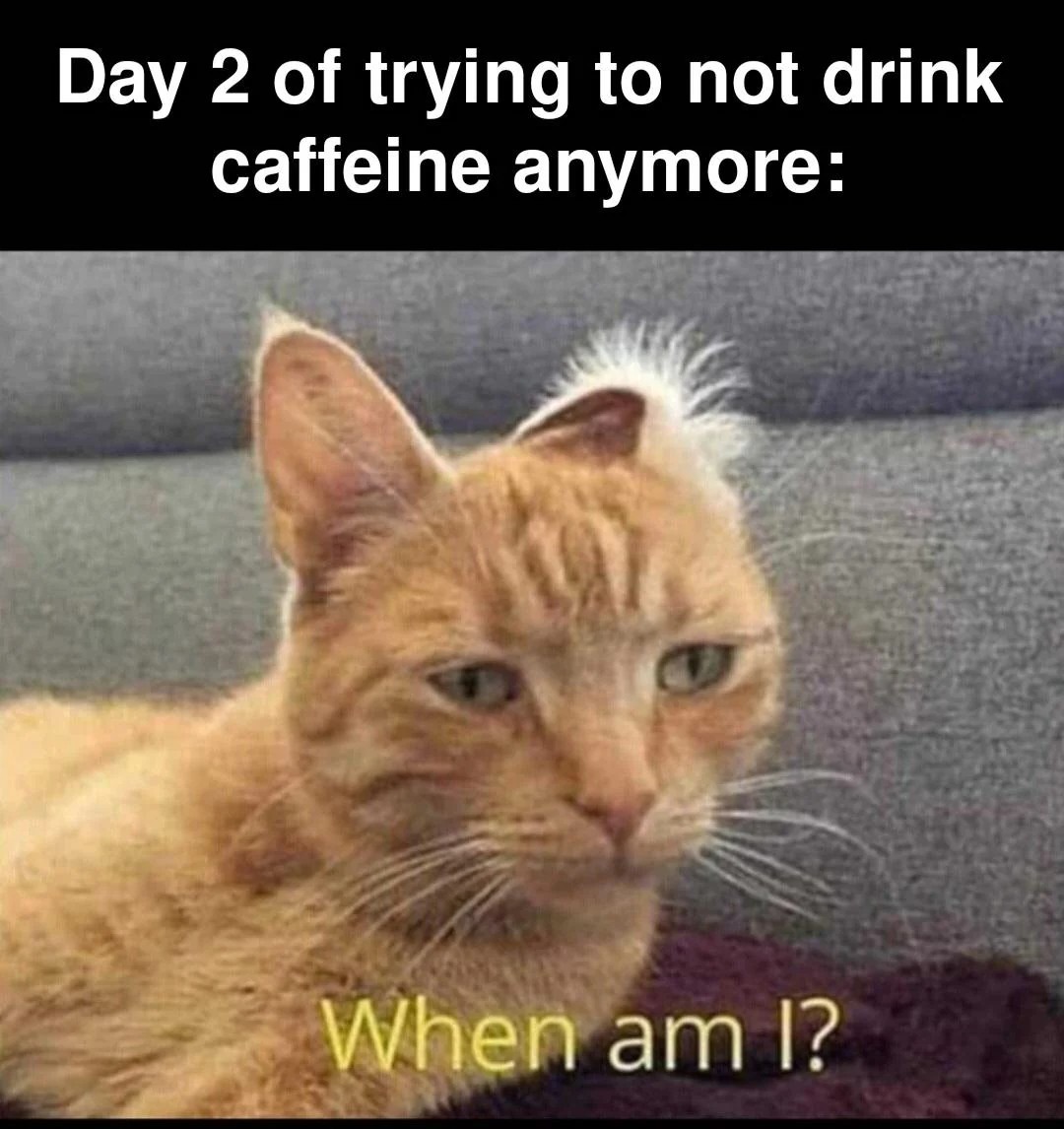 Day 2 of quitting caffeine: When am I? - meme