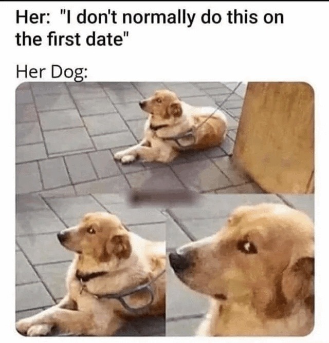 Her: I don’t do this on first dates. Her dog: cap detected - meme