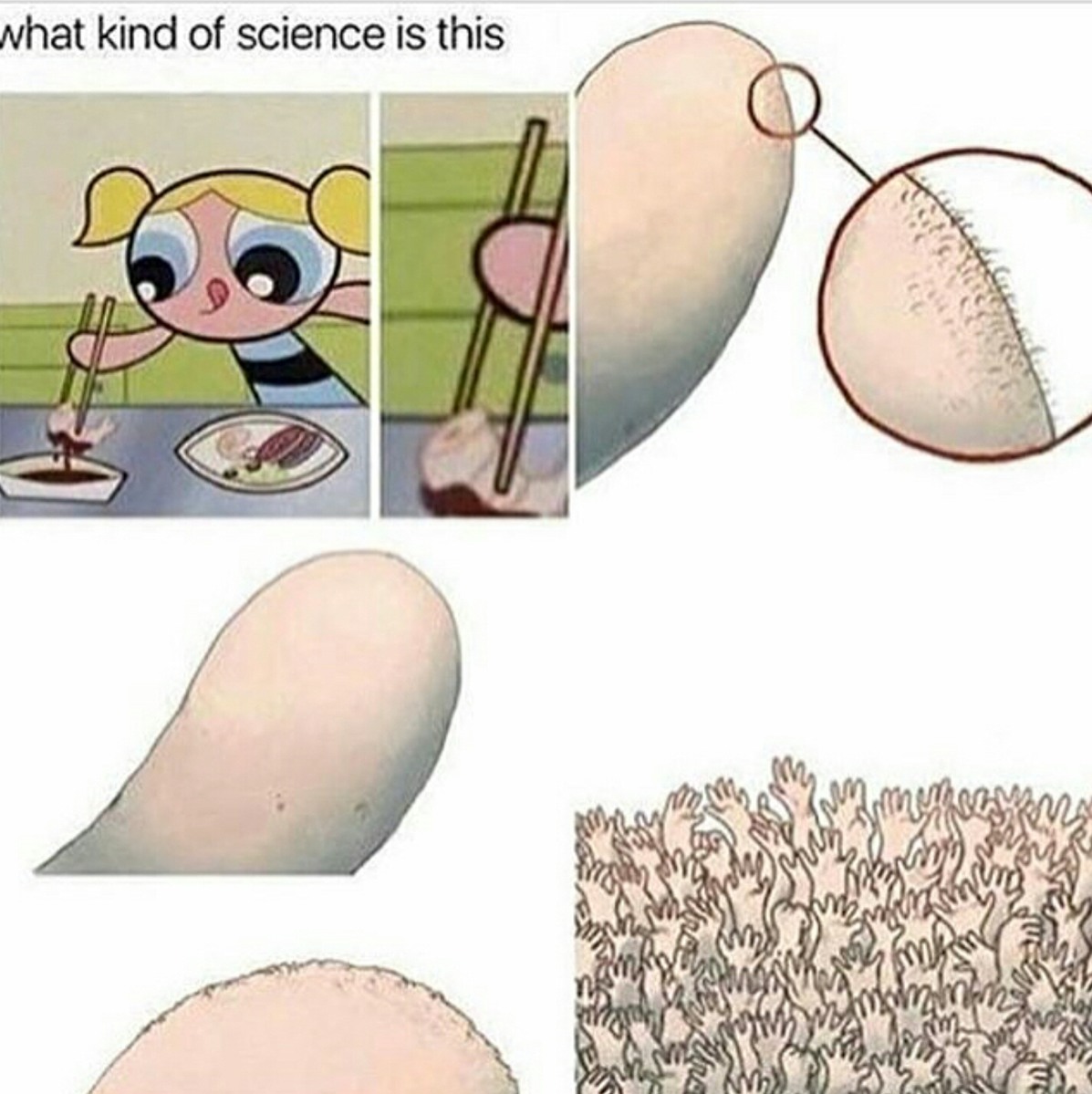 Science, Boiy - meme