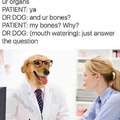 Doctor Doge getting shady