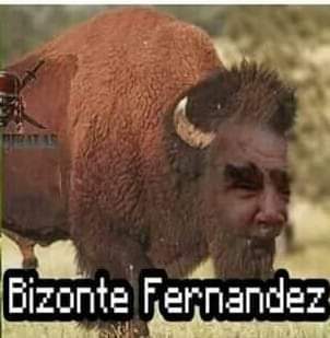 Bisonte Fernández - meme