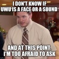 UWU is a face or a sound?