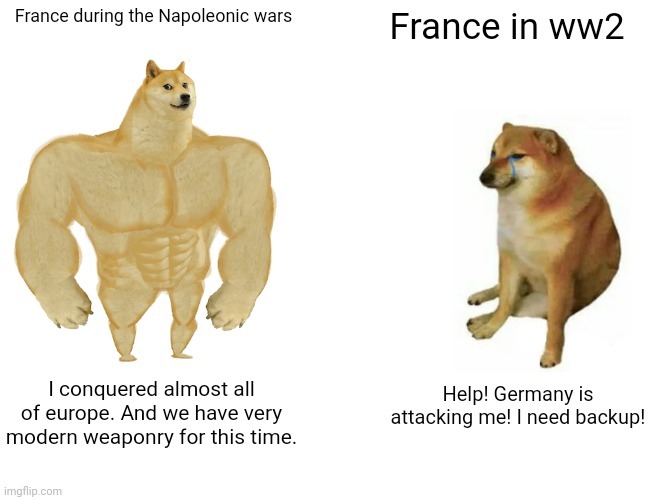France in history - meme