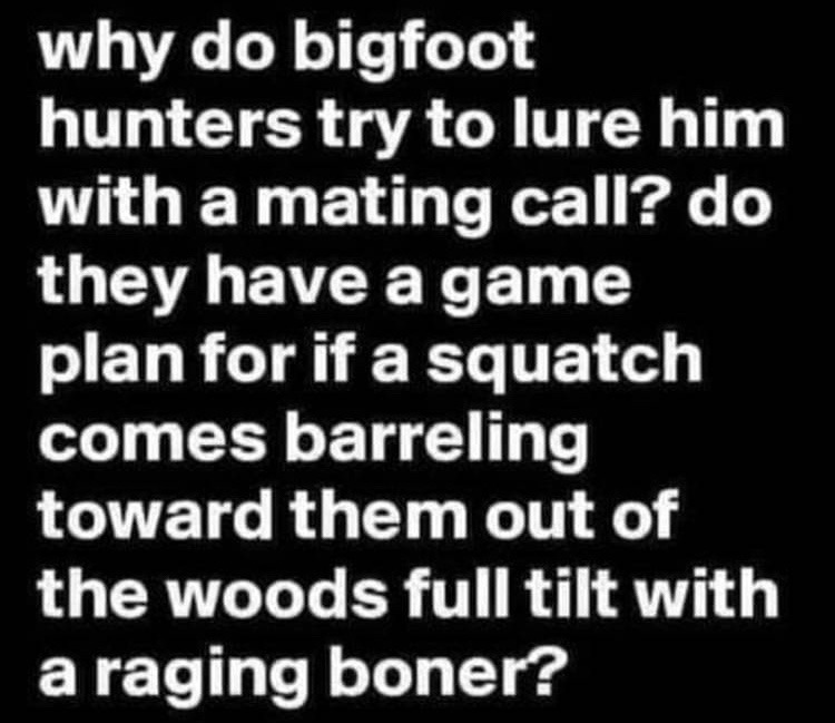 Bigfoot - meme