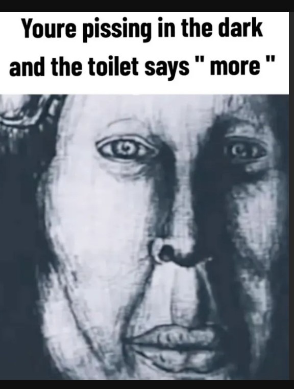 Skibidi referencia - meme
