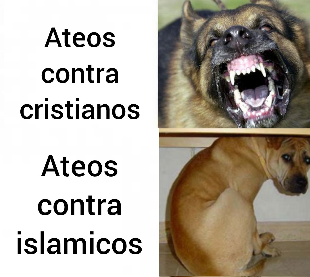 Ateos :genius: cristanismo :chad: - meme