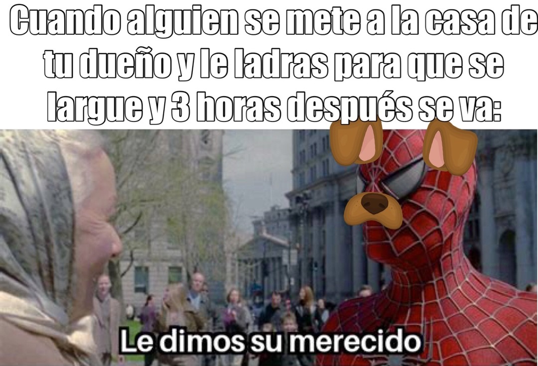 Tremenda victoria - meme