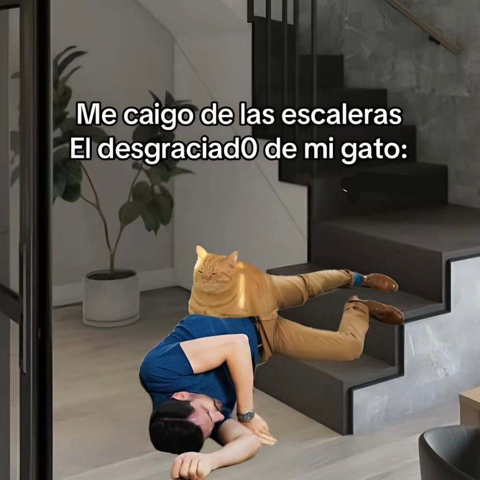 Yo cayéndome de las escaleras y mi gato gozando el show - meme