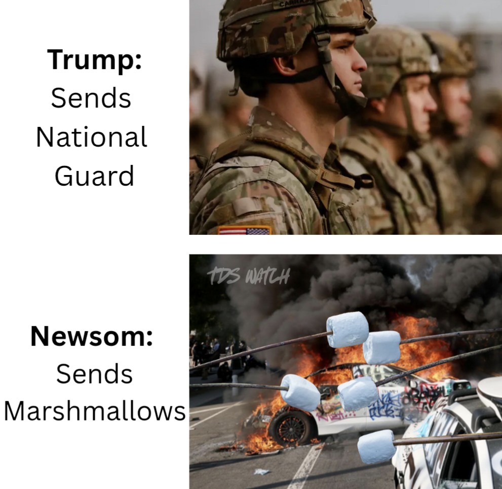 Newsom v. Trump - meme