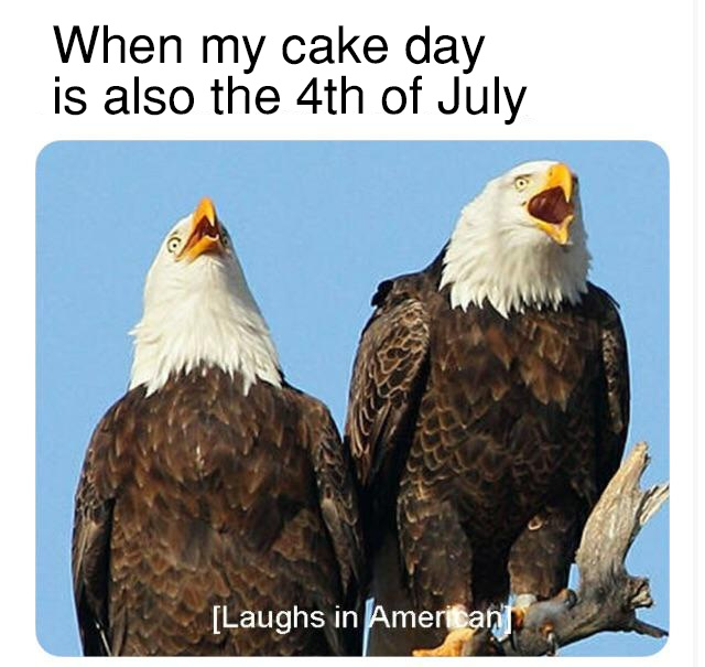 Cake day lol - meme