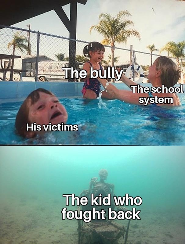 school system - meme