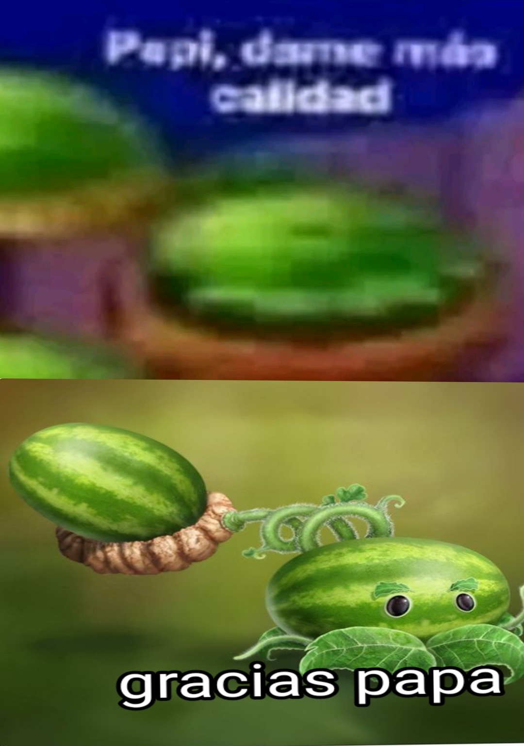 Las melonpultas merecen respeto - meme
