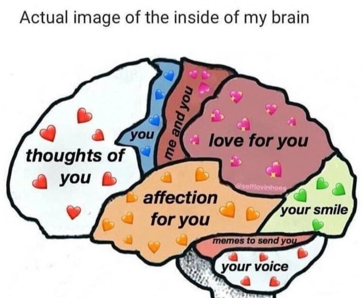 Latest memes / New memes :) Memedroid