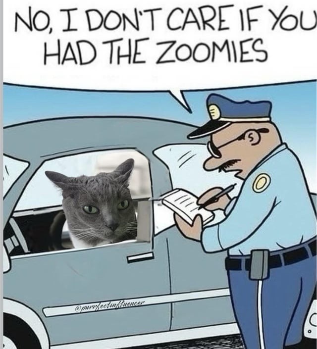 zoomies don't excuse war crimes, sir - meme