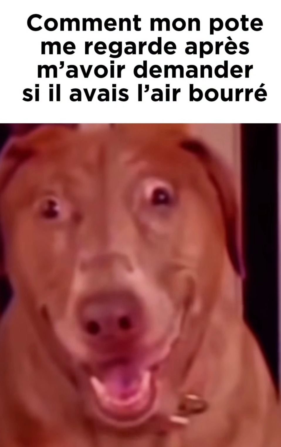 Yeux de bourré détectés - meme