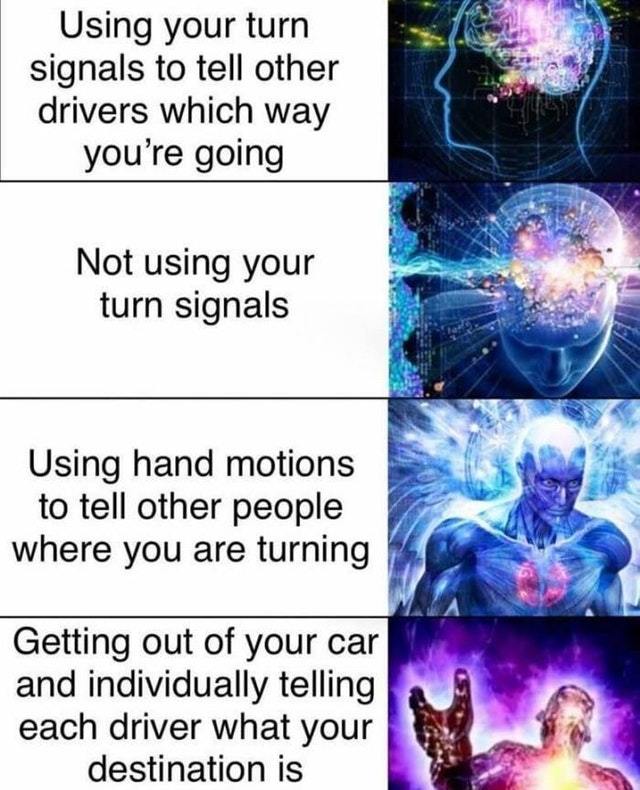 Good drivers - meme