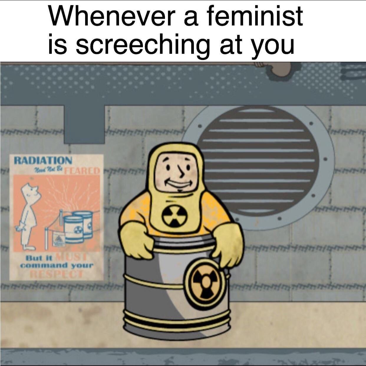 Feminism is toxic - meme