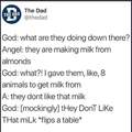 All that milk!