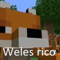 Weles rico