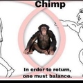 return to chimp