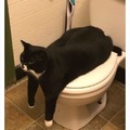 Bro, imma wipe my ass with you if you don't move