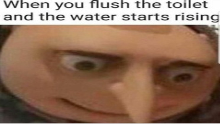 Flushed - meme