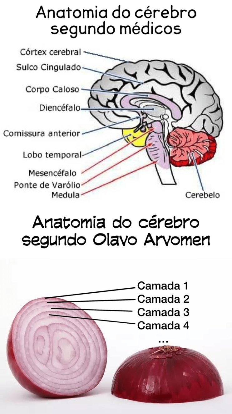 Olavo de Carvalho e sua teoria das camadas de personalidade - meme