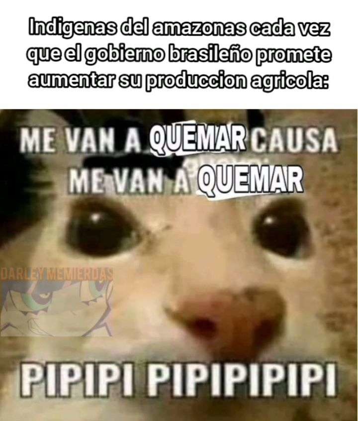 Imagen momo 2023 - meme