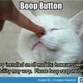 Boop gone right