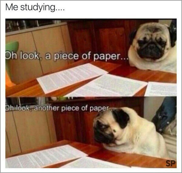 How I study - meme