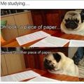 How I study