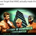 its true, I was the ladder