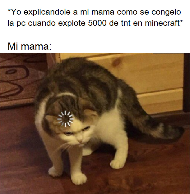 Meme Del Gato Confundido - Otro Wallpaper