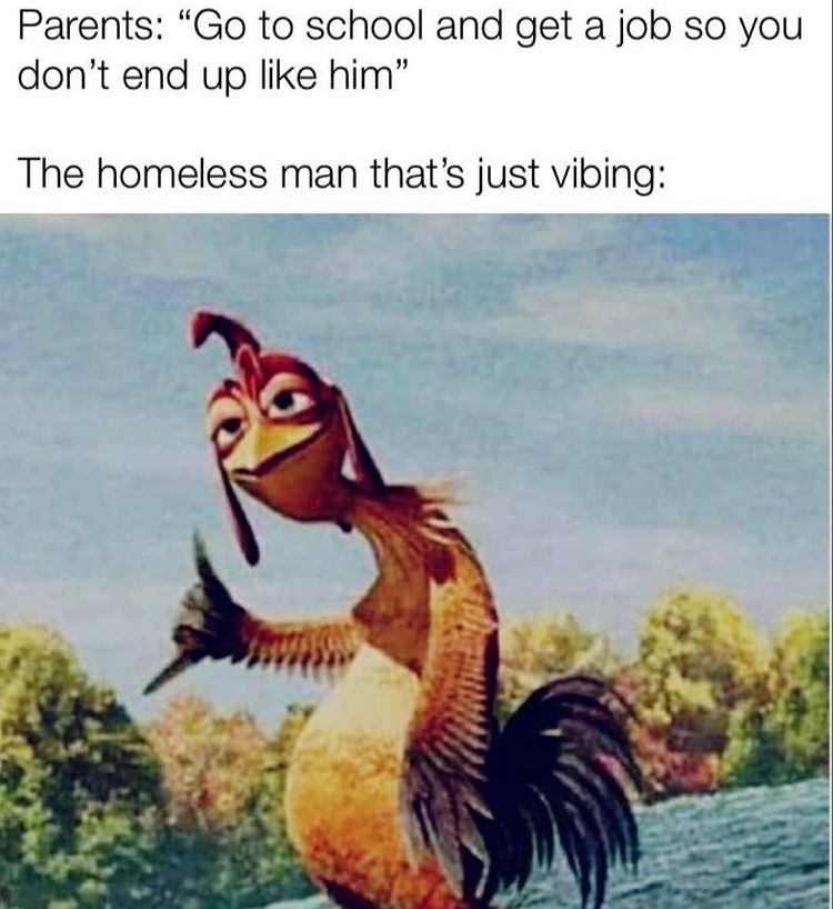 he’s just vibing - meme