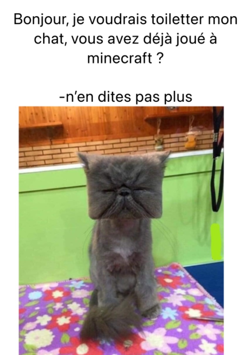 Minecraft.exe - meme